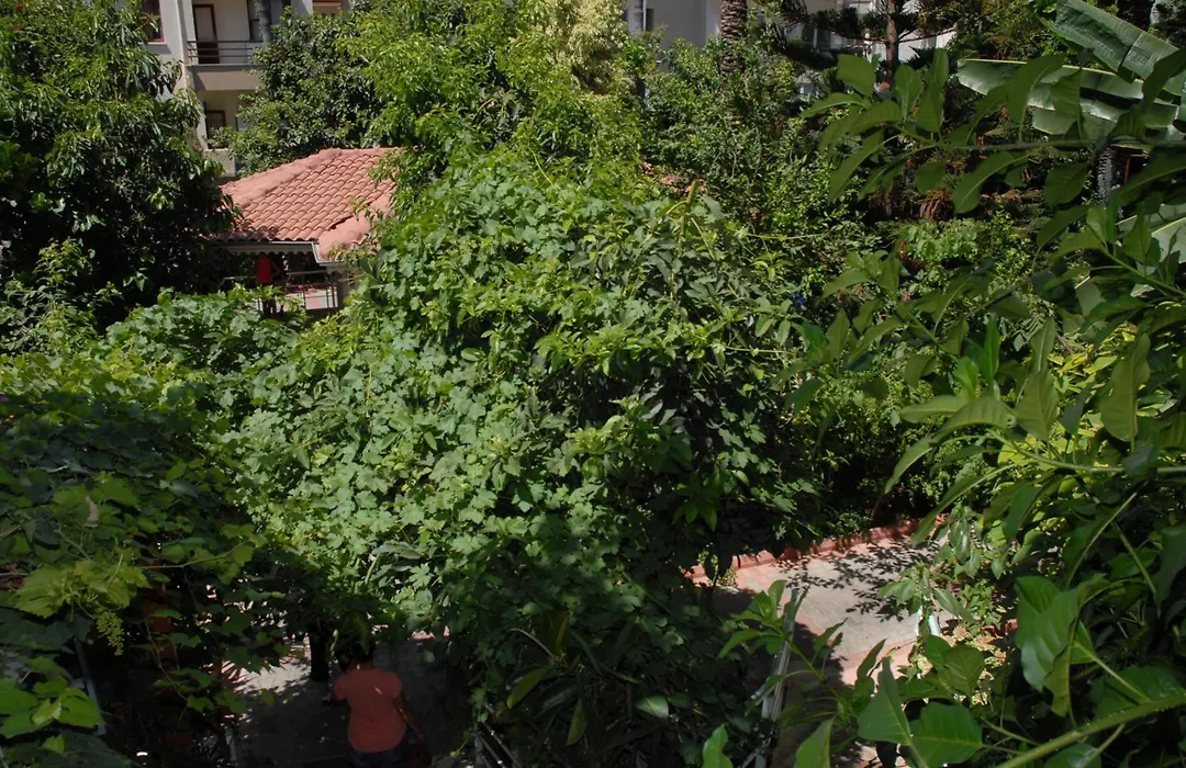 Merhaba Hotel-1
